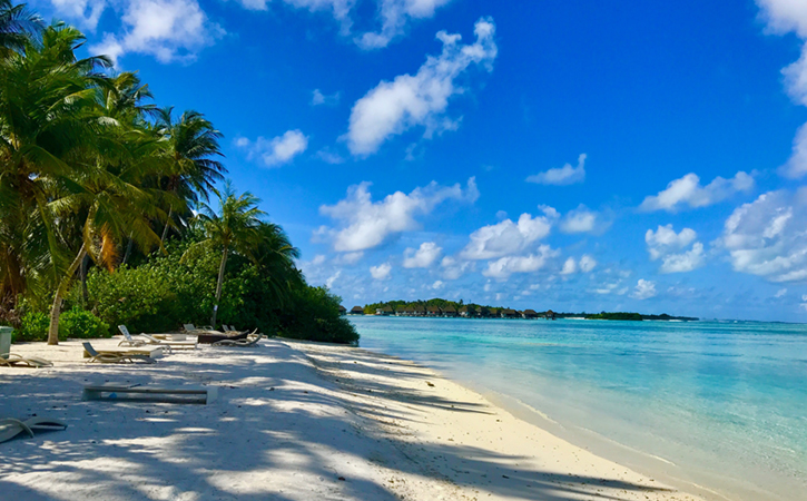 Maldivi