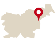 Apartmaji Ortenia
